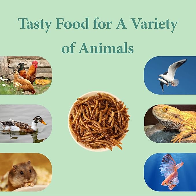 WORMSKING 10LB Dried Mealworms, High Protein Meal Worms for Poultry, Wild Birds, Hedgehogs, Hamsters, Reptiles, Great Chicken Food, Bird Food