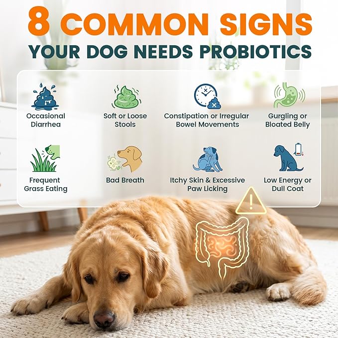 Probiotics for Dogs, Dog Probiotics for Yeast, Itchy Skin and Itchy Ears, Allergies, Immunity, Dog Gut Health Probiotic for Digestive Enzymes & Prebiotics for Diarrhea & Gas Relief (Chicken, 200 Chew)