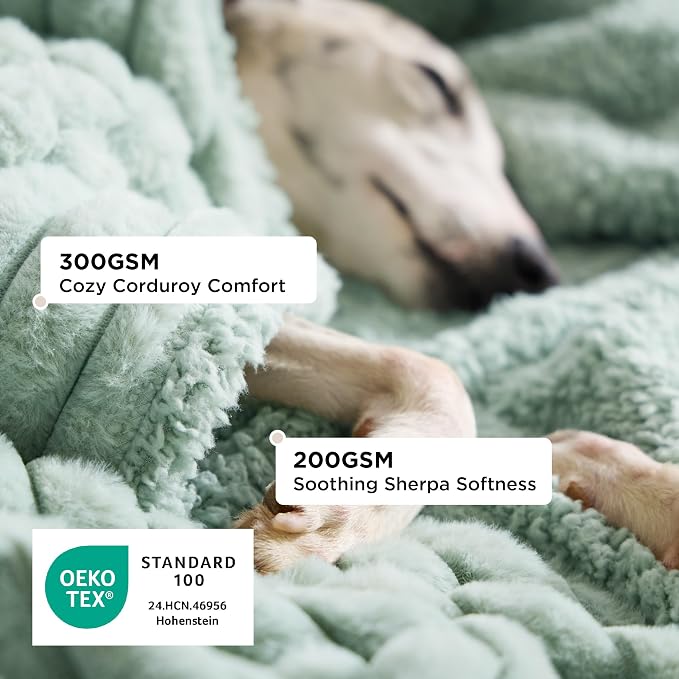 Bedsure ComfyFleece™ Waterproof Dog Blankets for Large Dogs - Soft Pet Cat Blanket Corduroy Fleece for Bed Protector Washable, Cozy Calming Reversible Furniture Protection,60"x80", Garden Green