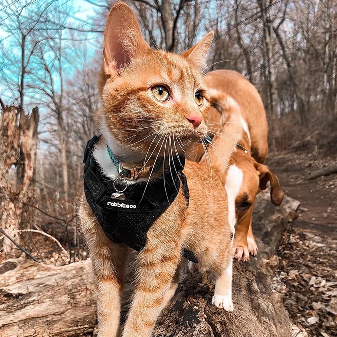 rabbitgoo Cat Harness and Leash for Walking, Escape Proof Soft Adjustable Vest Harnesses for Cats, Easy Control Breathable Reflective Strips Jacket, Black, S