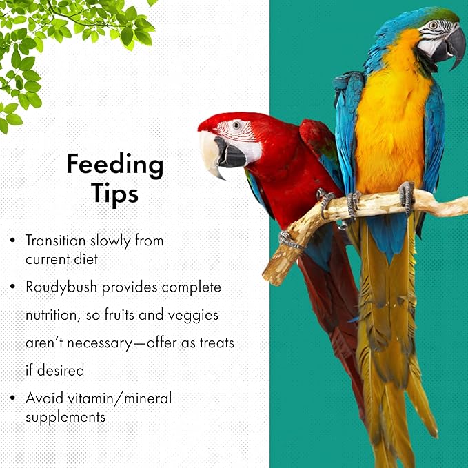 RoudyBush Daily Maintenance Bird Food, Mini, 10-Pound