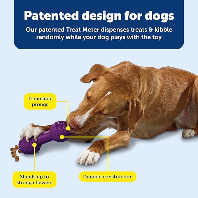PetSafe Busy Buddy Chuckle, Medium/Large