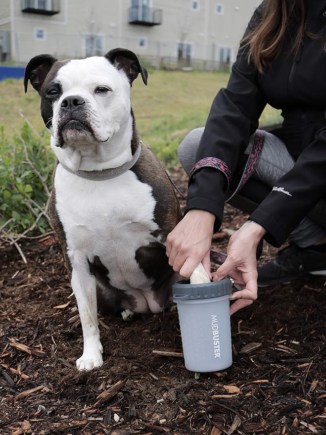 Dexas Lidded MudBuster Dog Paw Cleaner in Light Gray - Fits 1.5"-2.5" Wide Paws, Portable Paw Washer for Muddy Paws, Dog Paw Cleaning Cup with Gentle Silicone Bristles, Quick Clean Pet Paw Washer