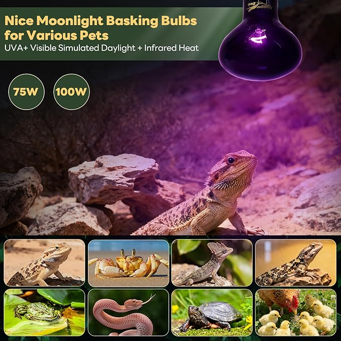 Reptile Heat Lamp, 2 Pack 75W Heat Lamp Bulbs Reptile Night Heat Bulb Basking Light for Bearded Dragon Chameleon Turtle Snake Gecko Lizard Chicken Tank Accessories, Purple