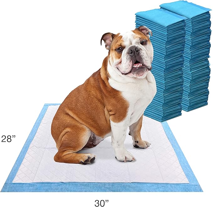 Four Paws Wee-Wee Odor Control with Febreze Freshness Pee Pads for Dogs & Puppies, Leak-Proof Dog Housebreaking Potty Training Floor Protection, Spring Fresh Scent, 22" x 23", 150 Count