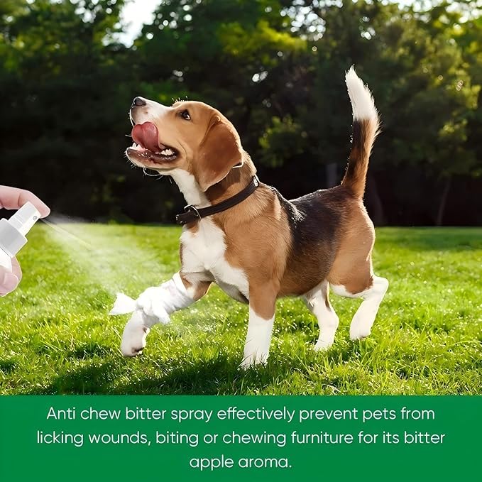 2 Pack Bitter Apple Spray for Dogs, No Chew Spray for Dogs, Natural Training Aid for Dogs & Puppies, Stop from Chewing and Biting on Furniture, Shoes, Plants, Indoor & Outdoor Use