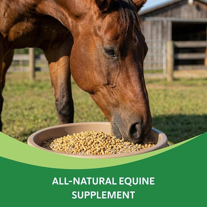 HEIRO Healthy Equine Insulin Rescue Nutritional Supplement for Horses, Natural Herbal Blend with Magnesium & Vitamin E, Supports Normal Metabolic Function & Hoof Comfort (180 Servings)