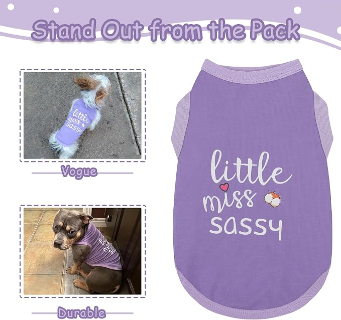 Paiaite Dog Clothes Fashionable Sleeveless Pet Vest: 'Little Miss Sassy' Printed Cotton Dog Shirt, Ideal for Small, Medium, and Large Breeds, Ensuring Comfort and Breathability Purple XL