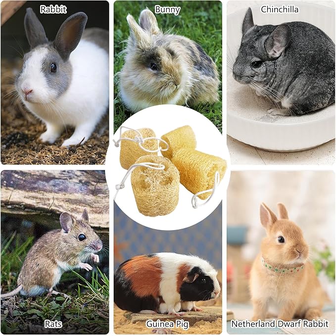 12 Pcs Rabbit Chew Toys Natural Bunny Loofah Chew Toy Chinchilla Teeth Grinding Toys Guinea Pig Fibre-Rich Treats Enrichment Bunny Accessories for Rabbits Hamster (M)