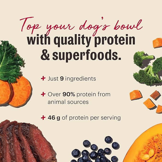 The Honest Kitchen Human Grade Protein Plus+ Dehydrated Meal Topper: Grain Free Beef Superfoods, 12oz Pouch