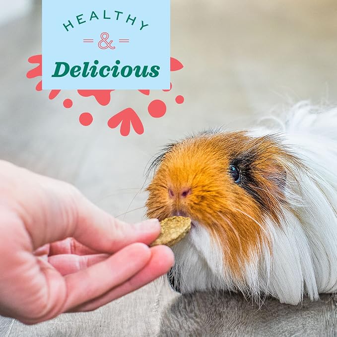 Oxbow Animal Health Natural Science Vitamin C Supplement,Vitamin C for Guinea Pig,Made with Oxbow Timothy Hay,Pet Supplements for Guinea Pigs,Veterinarian Formula,Made in USA,8.4 oz,(Pack of 2)