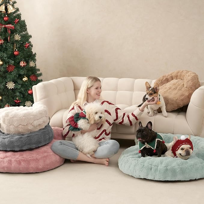 EHEYCIGA Soft Cat Couch Bed for Indoor Cats, Fluffy Small Dog Bed with Removable Washable Cover, Bolster Pet Sofa, Waterproof and Non-Slip, 23" x 23"x 7", Blue