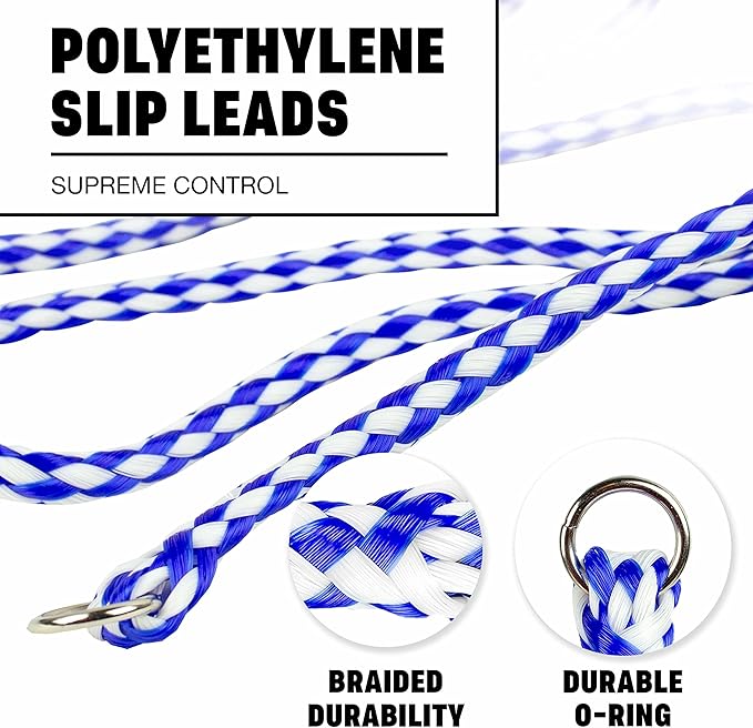 Downtown Pet Supply Braided Poly Slip Lead Dog Leash, 24 Pack, 5' Long - Universal Dog Slip Leash with Metal O Ring - Durable for Groomers, Shelters, Rescues, Vets, or Doggy Daycares