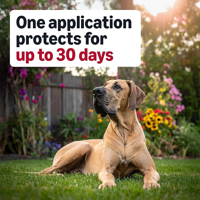 Amazon Basics Flea and Tick Topical Treatment and Prevention for Extra Large Dogs (89-132 lbs), Kills Fleas and Ticks, Waterproof, Monthly Application, 6 Count, Packaging May Vary