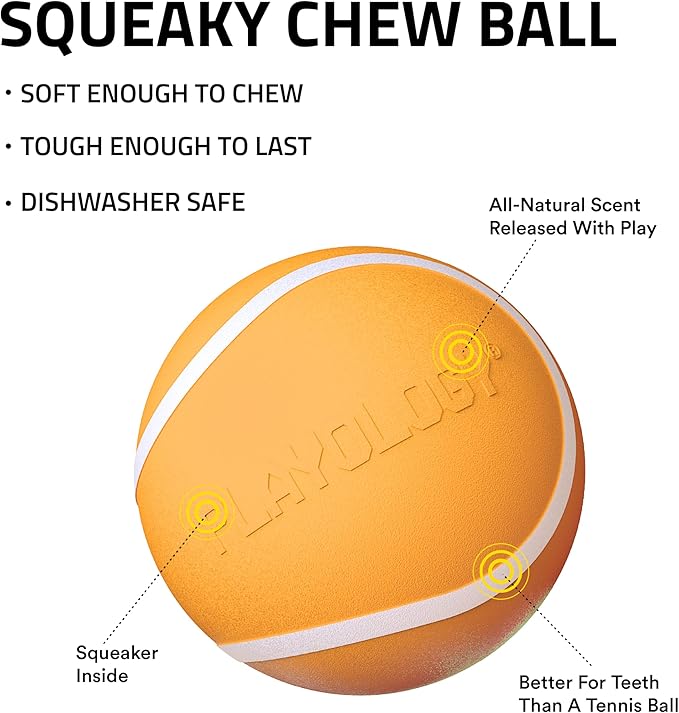 Playology Dog Toys | Squeaky Chew Ball for Dogs| Cheddar Cheese Scented Medium Dog Ball | Bouncy Floating Dog Balls