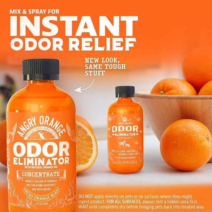 ANGRY ORANGE Pet Stain and Odor Remover - 2 Spray Pack - 32 oz Dog, Ferret, Rabbit & Cat Urine Enzyme Cleaner - 8 oz Strong Pet Odor Eliminator Concentrate - For Pee on Carpet, Furniture, Tile, Wood