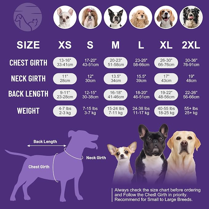 cyeollo 2pack Dog Surgery Recovery Suit for Female Male Dogs Cats Soft Breathable Dog Onesie After Spay, Neuter, Anti-Licking Pet Surgical Recovery Snugly Suit Bodysuit, Pink & Purple, L