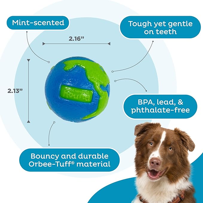 Outward Hound by Planet Dog Orbee-Tuff Planet Ball Blue/Green Treat-Dispensing Dog Toy, Small