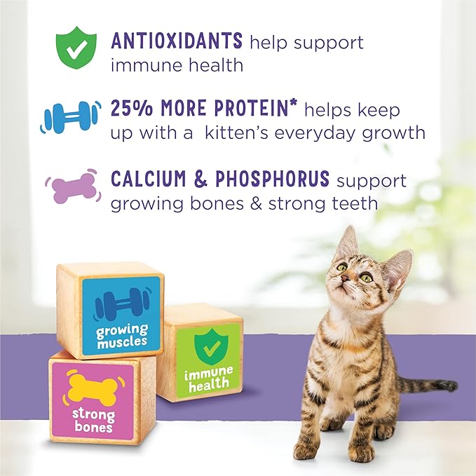 Purina Kitten Chow 14lb
