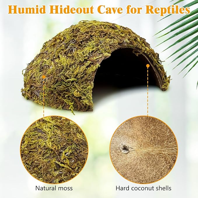 PINVNBY 4 Pack Natural Green Moss Hide Caves Coconut Reptile Hideouts Hamster Climbing Toys Gecko Habitat Decor Lizard Shell Shelter for Snake Tarantulas Turtle Chameleon