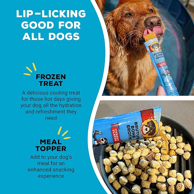 Brutus Brothcicles Frozen Dog Treats - Turkey Flavor Dog Popsicle Snack, Hydrating Frozen Enrichment Treat with Superfoods,12 Fl Oz Pack of 1 (2 oz per Stick)