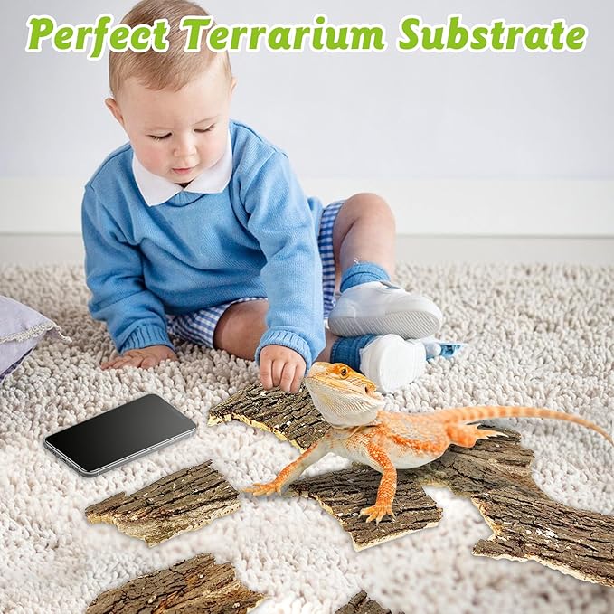 Reptile Cork Bark 1 Lb Flat Cork Wood for Terrarium Small Tree Bark Pieces 3.9-5.9in Natural Bulk Cork Bedding Tank Substrate for Bearded Dragon Snake Spiders Geckos Tortoise Hermit Crabs