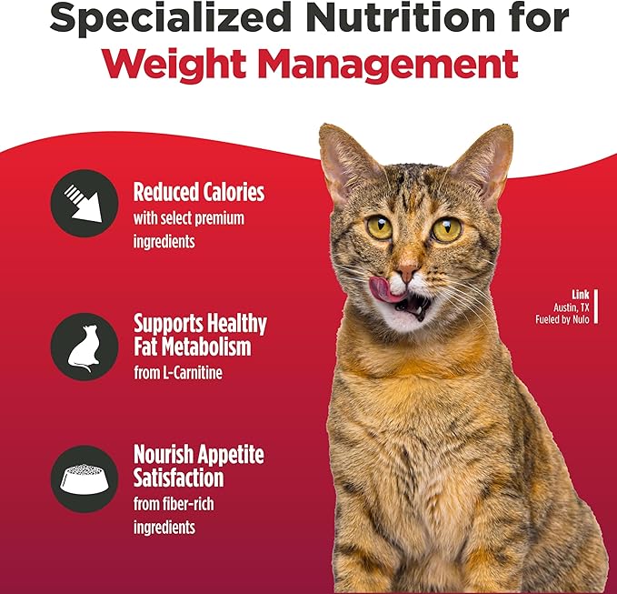 Nulo FreeStyle Adult Trim Dry Cat Food - Salmon & Lentils, High Protein, Grain Free, Weight Management Kibble with Probiotics & L-Carnitine, 14lb Bag