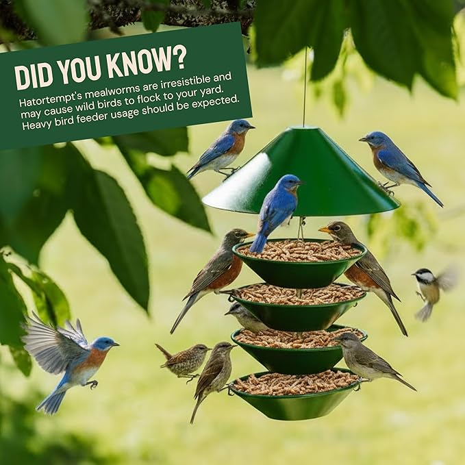 Hatortempt Dried Mealworms for Wild Birds - 1.8 Lb Bag - Non-GMO Bluebird Food - High-Protein Meal Worms for Blue Birds, Robins and Chickadees