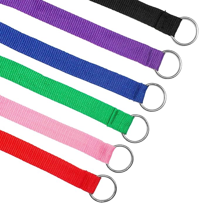 Downtown Pet Supply - 6ft Dog Kennel Slip Lead - Veterinarian, Grooming, Daycare & Rescue Supplies - One Size Leads for Dogs - 1" Thick 6 Pack