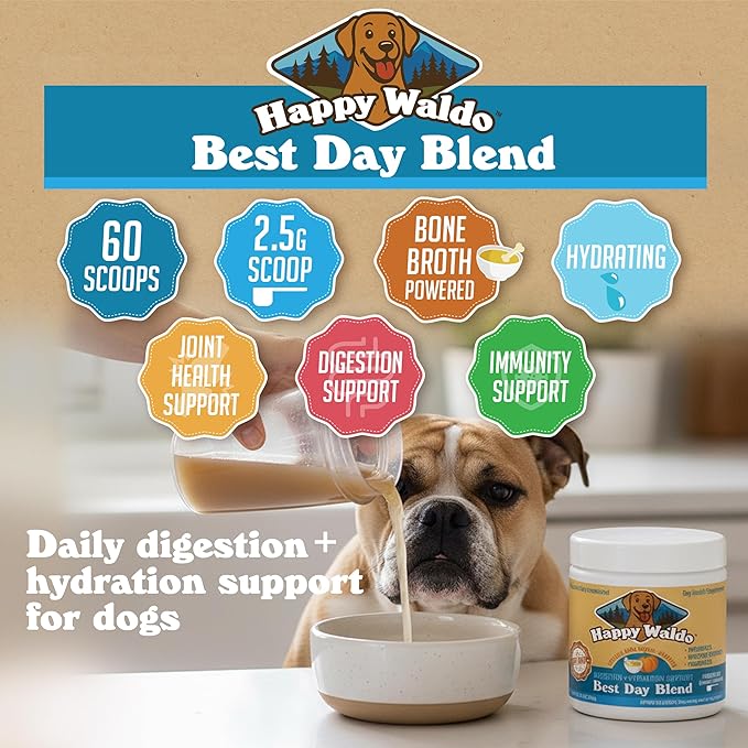 Bone Broth Dog Food Topper – Firm Stool Support, Digestion & Gut Health, Picky Eater Friendly with Pumpkin, Probiotics & Digestive Enzymes