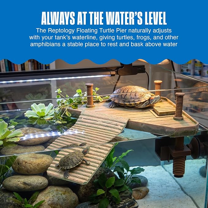 Penn-Plax Reptology Turtle Pier and Basking Platform, Medium - Adjust Height Up to 12 In - Floats at Water Level -Easy Ramp Access for Turtles, Frogs & Reptiles in Aquariums or Terrariums, 11.5x9.5 In