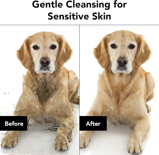 Pride and Groom The Sensitive One | Dog Grooming Shampoo for Puppies and Dogs with Itchy, Dry Skin| Tearless All Natural Body Wash with Essential Oils to Soothe Skin and Reduce Dandruff – 128oz