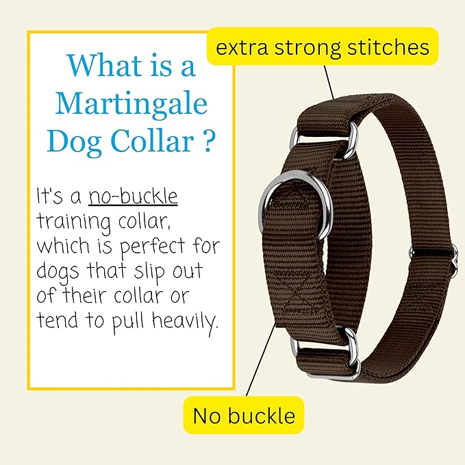 Country Brook Petz - Martingale Dog Collar - Heavy-Duty Training Collar with No Buckle - Service Dog Collar for All Pups - 20 Vibrant Colors (Brown, 1 Inch, Medium)