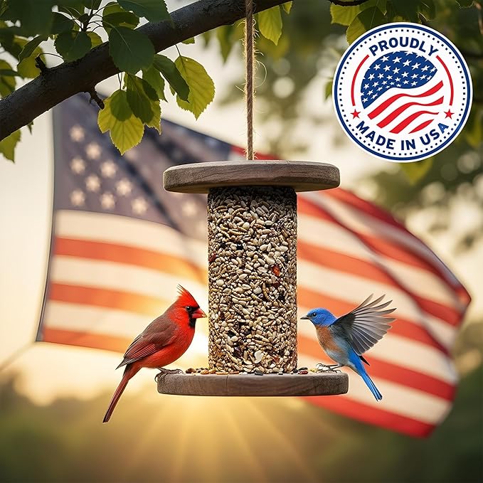 Bugs, Nuts & Berries Bird Seed Cylinders with Hole – Wild Bird Food for Blue Birds, Woodpeckers, Cardinals & More – Premium Protein-Rich Blend, No Fillers – USA Made (4" x 7.75") 2 Pack