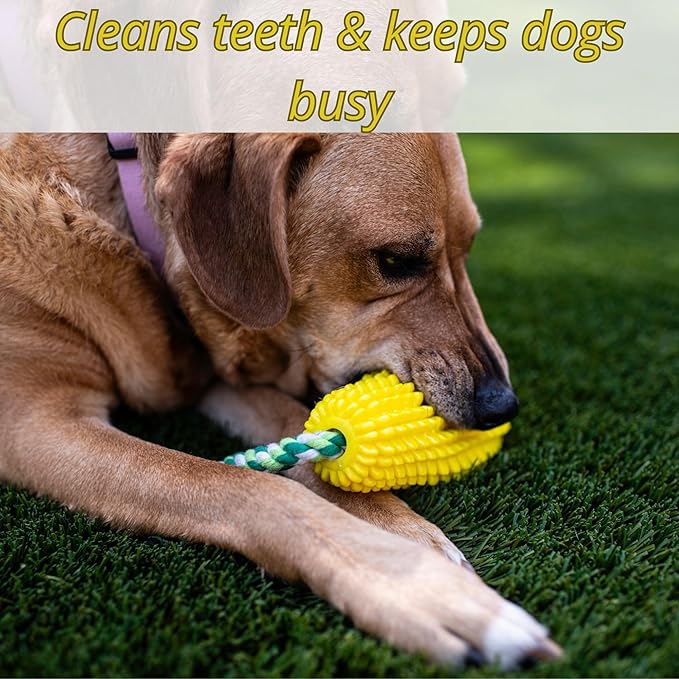 Squeaky Rubber Dog Toy – Interactive Corn Dog Toy for Small & Medium Dogs – Chew, Fetch & Tug Toy – Perfect for Water Play – Teeth Cleaning Texture – Indoor & Outdoor Use – Tail Town