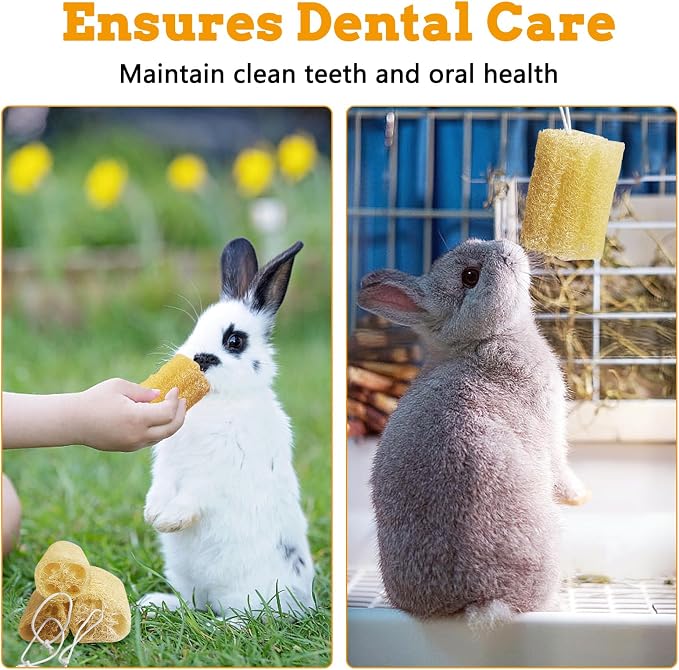 4 Pcs Rabbit Chew Toys Natural Bunny Loofah Chew Toy Chinchilla Teeth Grinding Toys Guinea Pig Fibre-Rich Treats Enrichment Bunny Accessories for Rabbits Hamster (L)