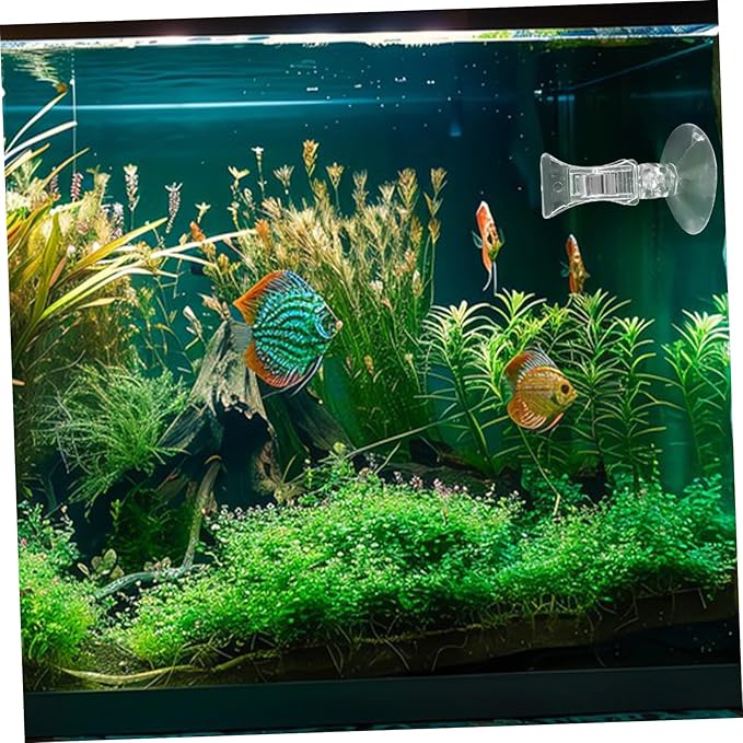 STOBOK 2Pcs Suction Cup Clips, Fish Seaweed Clip Plant Suction Cup Aquarium Suction Cup Clip Feeding Tool for Aquarium Fish Tank Accessories