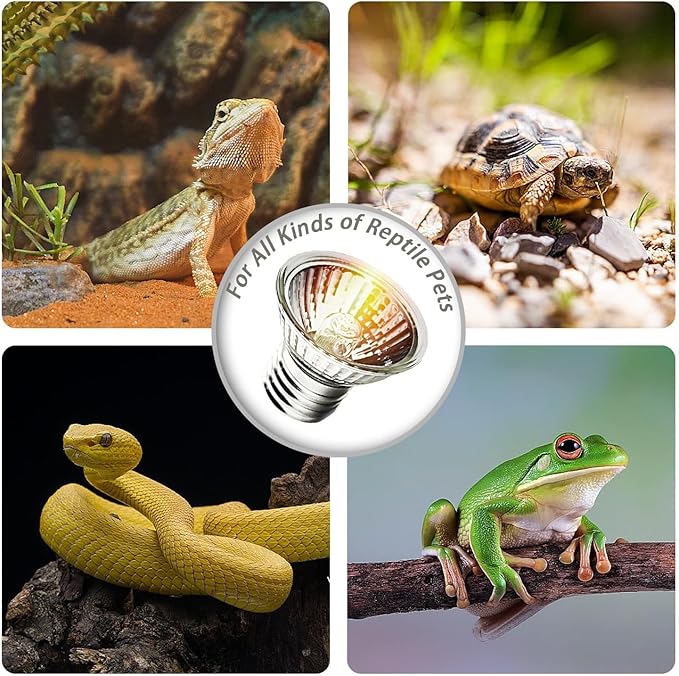 4-Pack 25W UVA Bulbs, Fit E26 Heat Reptile Lamp, Light Turtle Heat Lamp for Reptiles and Amphibian Tanks, Terrariums and Cages, Works with Various Lamp Fixtures,for Lizards, Snakes, Turtles