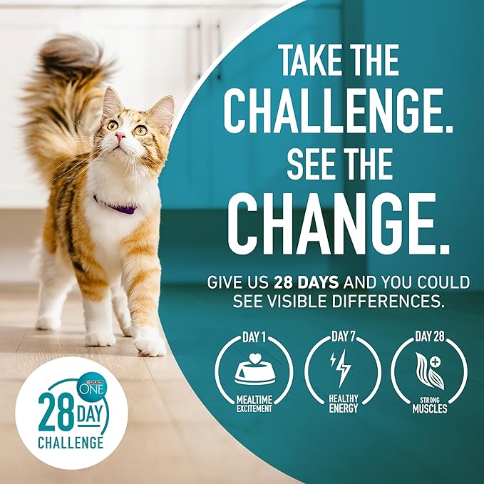 Purina ONE Natural Low Fat, Indoor Dry Weight Control High Protein Cat Food Plus Indoor Advantage With Real Salmon - 7 lb. Bag