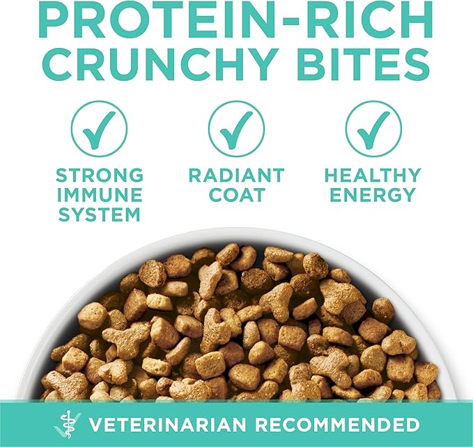 Purina ONE Sensitive Stomach, Sensitive Skin, Natural Dry Cat Food, +Plus Sensitive Skin and Stomach Formula - 7 lb. Bag