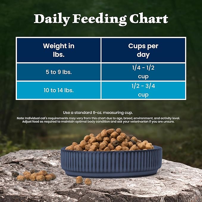 Blue Buffalo Wilderness High Protein Grain Free Dry Food for Adult Cats, 40% Protein, with Salmon, 15 lb. Bag