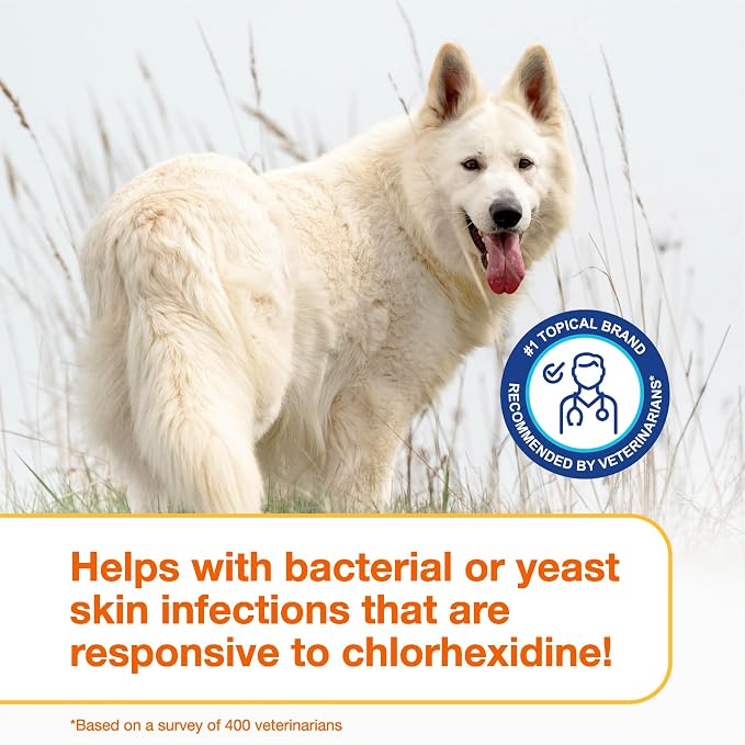 Douxo S3 PYO Chlorhexidine Shampoo (6.7 oz) & Mousse (5 fl oz) for Dogs Set, Antibacterial & Antiseptic Yeast Infection Treatment for Dogs, Clinically Proven