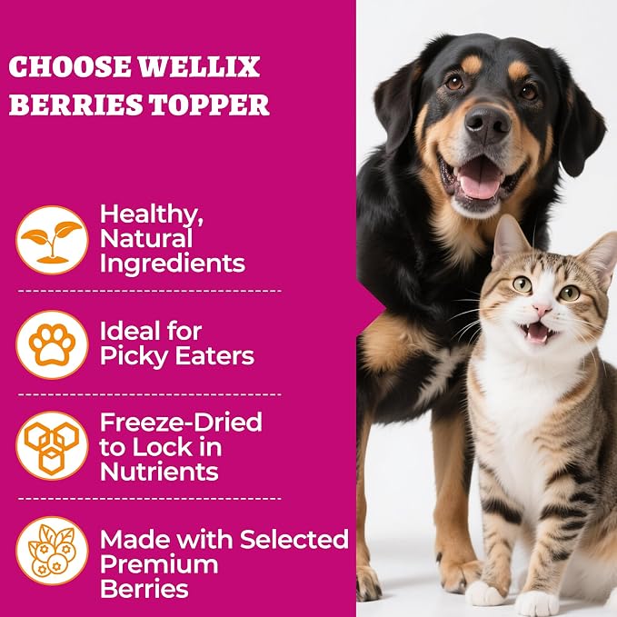Wellix Freeze Dried Cat & Dog Treats - High Protein Cat Food Toppers with 3 Berries Added (Blueberry/Strawberry/Cranberry for Dogs) - Cat Treats for Indoor Cats 7.05oz