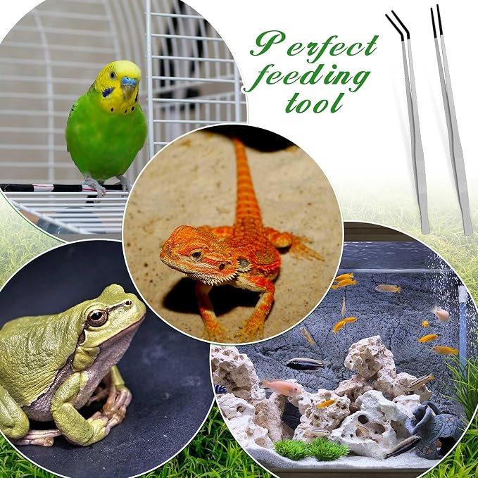 Lasnten 2 Pcs Extra Long Stainless Steel Reptile Feeding Tongs with Rubber Tip 18.5 Inch, 18.9 Inch Bearded Dragon Aquarium Straight and Curved Long Tweezer Terrarium Feeder Tool for Tank(Silver)