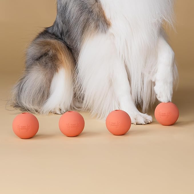 Harry Barker Rubber Balls and Rubber Chew Stick for Dogs