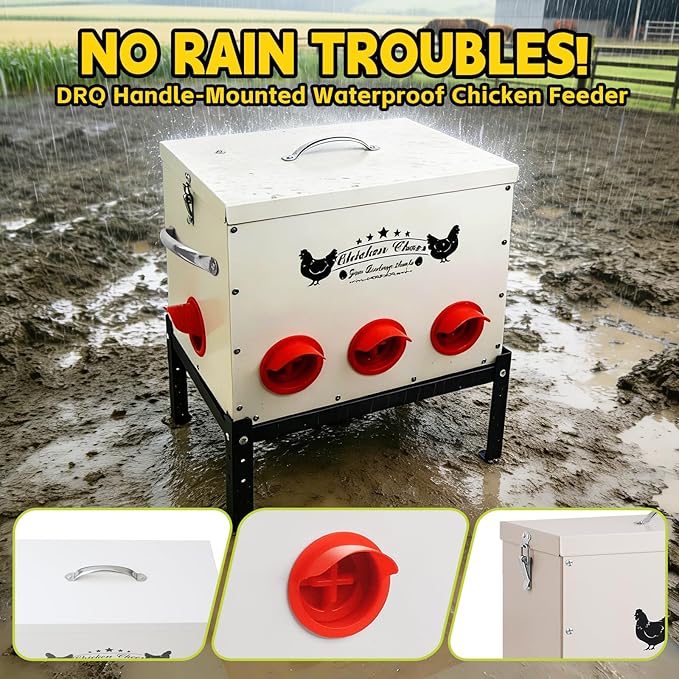 DRQ 55 LB Automatic Chicken Feeder