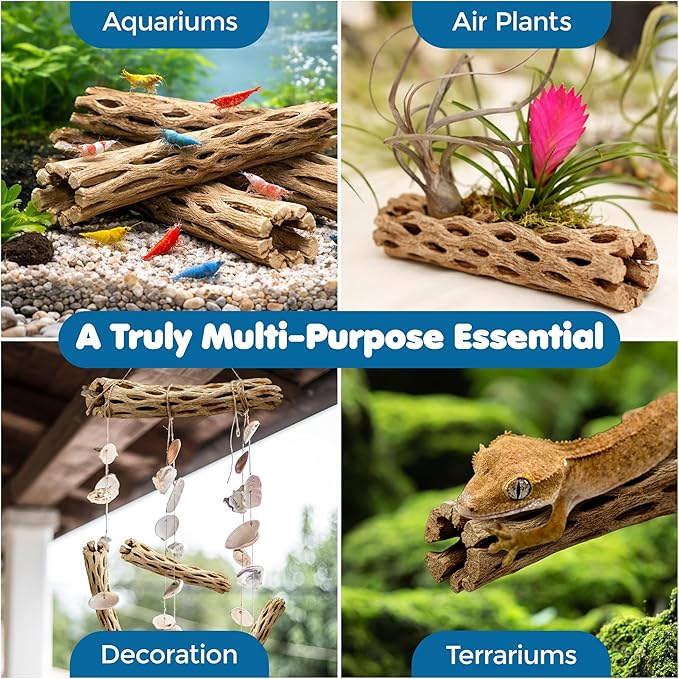 SunGrow Cholla Wood, 6” Climbing Logs, Chew Toy, Aquarium Fish, Snail, and Shrimp Driftwood, Tropical Freshwater Fish Décor, Adds Raw Beauty, 3 Pack