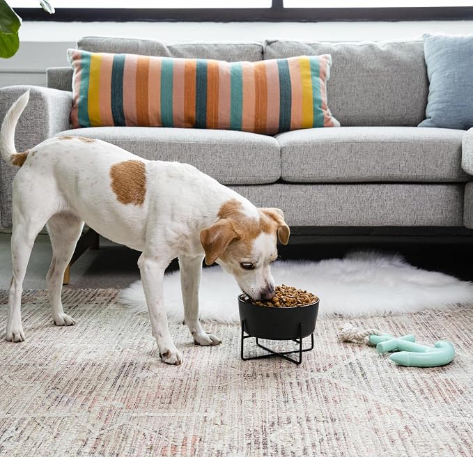 Waggo Simple Solid Dog Bowl and Dog Bowl Stand - Single Iron Stand with Single Ceramic Feeder or Water Bowl, Small or Large Dog Elevated Pet Feeder (Small, Matte Black)