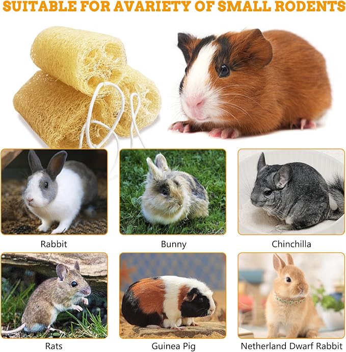 4 Pcs Rabbit Chew Toys Natural Bunny Loofah Chew Toy Chinchilla Teeth Grinding Toys Guinea Pig Fibre-Rich Treats Enrichment Bunny Accessories for Rabbits Hamster (L)