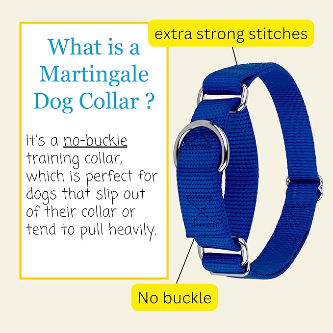 Country Brook Petz - Martingale Dog Collar - Heavy-Duty Training Collar with No Buckle - Service Dog Collar for All Pups - 20 Vibrant Colors (Royal Blue, 1 Inch, Large)